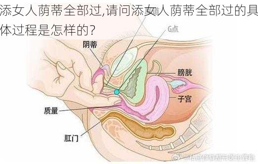 添女人荫蒂全部过,请问添女人荫蒂全部过的具体过程是怎样的？