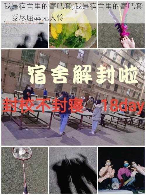 我是宿舍里的寄吧套;我是宿舍里的寄吧套，受尽屈辱无人怜