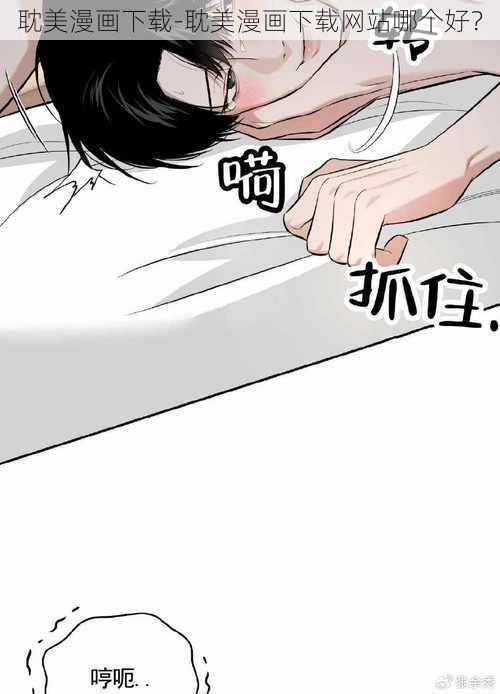 耽美漫画下载-耽美漫画下载网站哪个好？