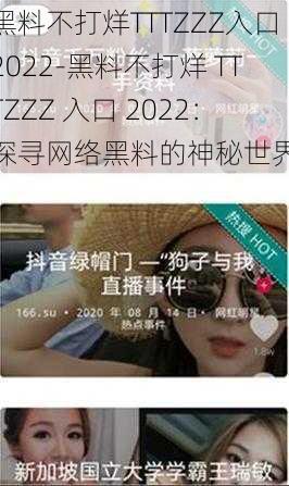 黑料不打烊TTTZZZ入口2022-黑料不打烊 TTTZZZ 入口 2022：探寻网络黑料的神秘世界