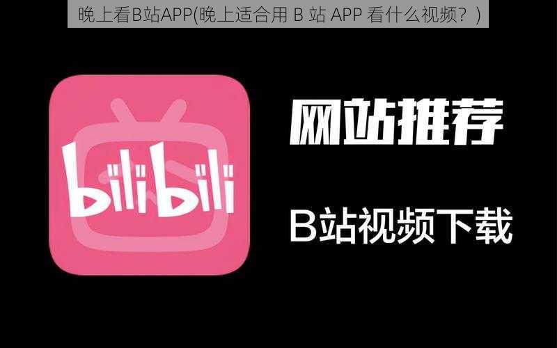 晚上看B站APP(晚上适合用 B 站 APP 看什么视频？)