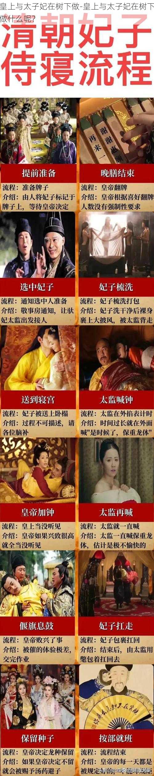 皇上与太子妃在树下做-皇上与太子妃在树下做什么呢？