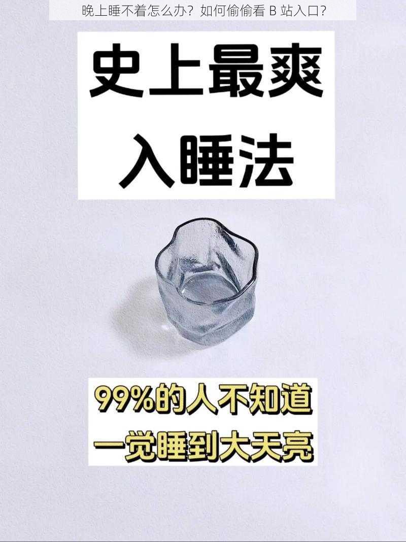 晚上睡不着怎么办？如何偷偷看 B 站入口？