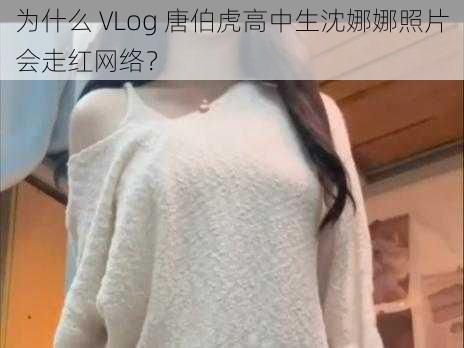 为什么 VLog 唐伯虎高中生沈娜娜照片会走红网络？