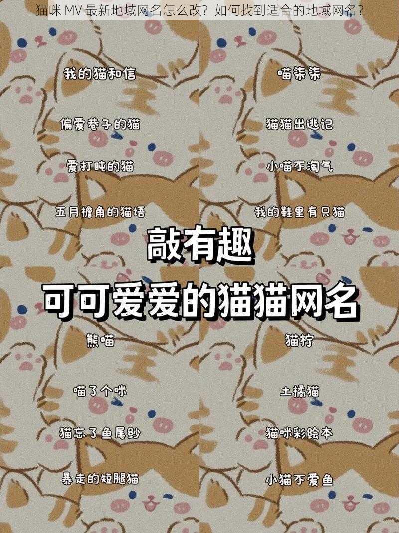 猫咪 MV 最新地域网名怎么改？如何找到适合的地域网名？