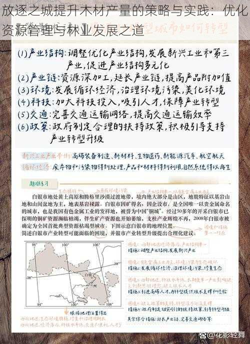 放逐之城提升木材产量的策略与实践：优化资源管理与林业发展之道