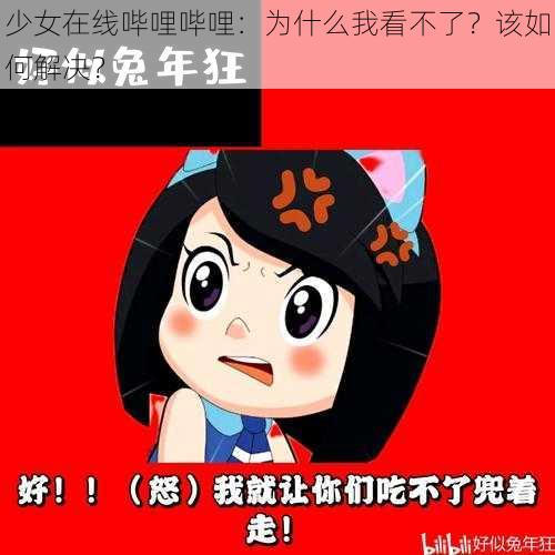 少女在线哔哩哔哩：为什么我看不了？该如何解决？