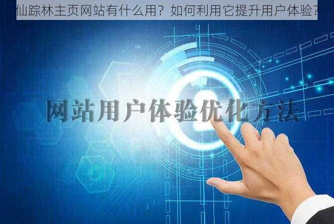 仙踪林主页网站有什么用？如何利用它提升用户体验？