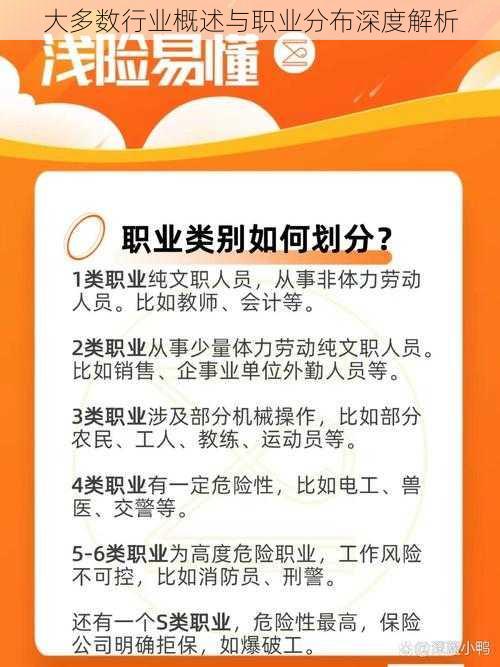 大多数行业概述与职业分布深度解析