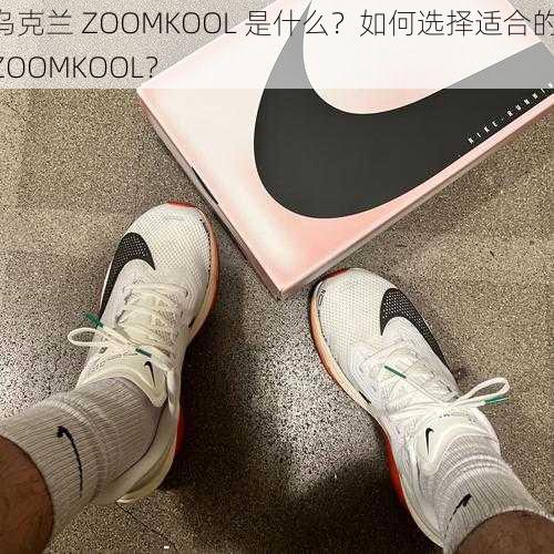 乌克兰 ZOOMKOOL 是什么？如何选择适合的 ZOOMKOOL？